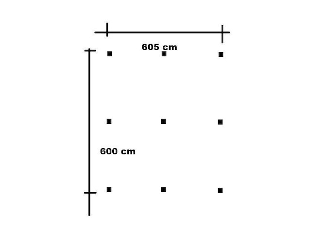 Douglas vrijstaande dubbele carport - 900x605x300 cm - afbeelding 5 van  5