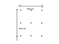 Douglas vrijstaande dubbele carport - 900x605x300 cm - afbeelding 5 van  5