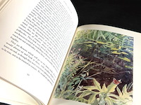 Down the river h.e. bates - afbeelding 4 van  5