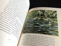 Down the river h.e. bates - afbeelding 5 van  5