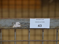 Draadcontainer - afbeelding 4 van  4