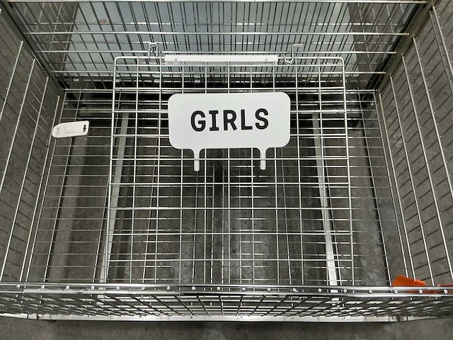 Draadmand (2x) - afbeelding 6 van  6