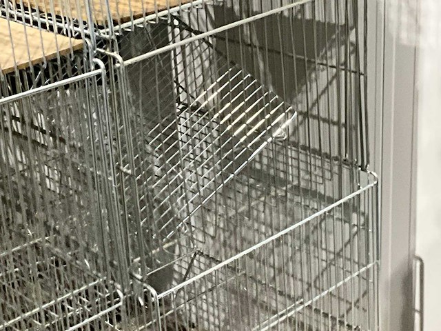 Draadmand (59x) - afbeelding 1 van  1