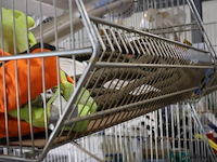 Draadmanden - 4 stuks - afbeelding 3 van  3