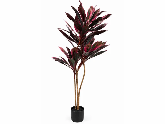 Dracaena green red kunstplant (200cm hoog) (2x) - afbeelding 1 van  4
