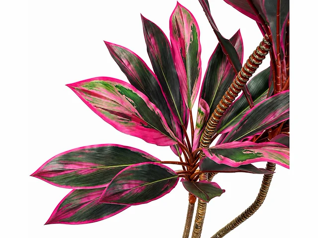 Dracaena green red kunstplant (200cm hoog) (2x) - afbeelding 2 van  4
