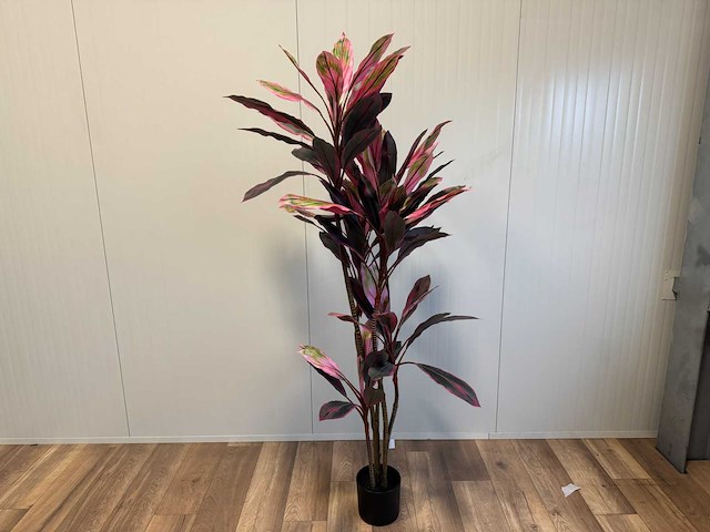 Dracaena green red kunstplant (200cm hoog) - afbeelding 10 van  14