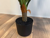 Dracaena tree kunstplant (140cm hoog) - afbeelding 6 van  15