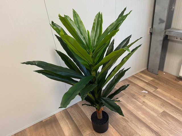 Dracaena tree kunstplant (140cm hoog) - afbeelding 11 van  15