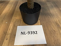 Dracaena tree kunstplant (140cm hoog) - afbeelding 6 van  14