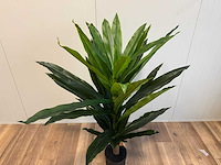 Dracaena tree kunstplant (140cm hoog) - afbeelding 9 van  14