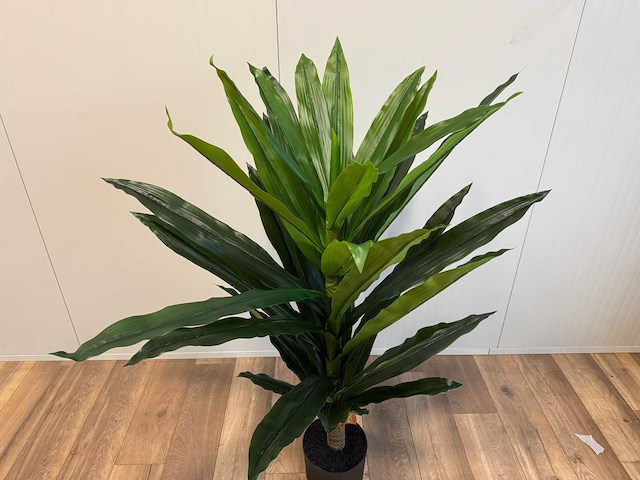 Dracaena tree kunstplant (140cm hoog) - afbeelding 5 van  5