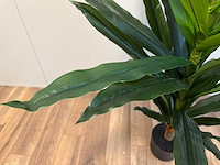Dracaena tree kunstplant (140cm hoog) - afbeelding 3 van  15