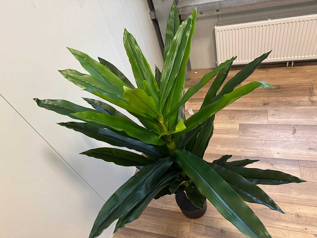 Dracaena tree kunstplant (140cm hoog) - afbeelding 5 van  15