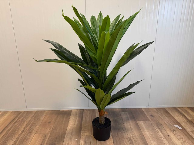 Dracaena tree kunstplant (140cm hoog) - afbeelding 1 van  15