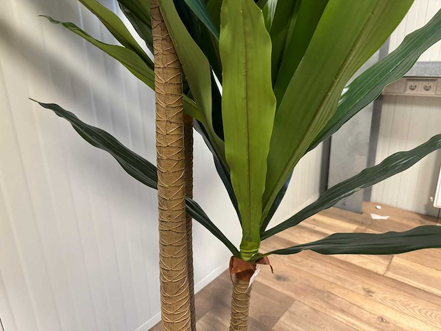 Dracaena tree kunstplant (190cm hoog) - afbeelding 7 van  10