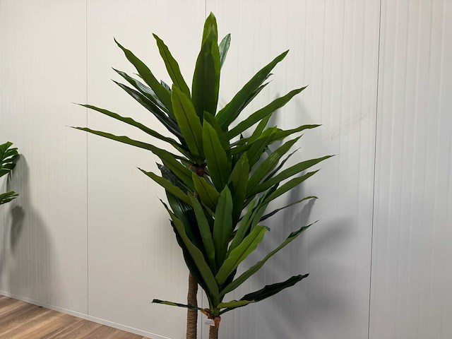 Dracaena tree kunstplant (190cm hoog) - afbeelding 1 van  2