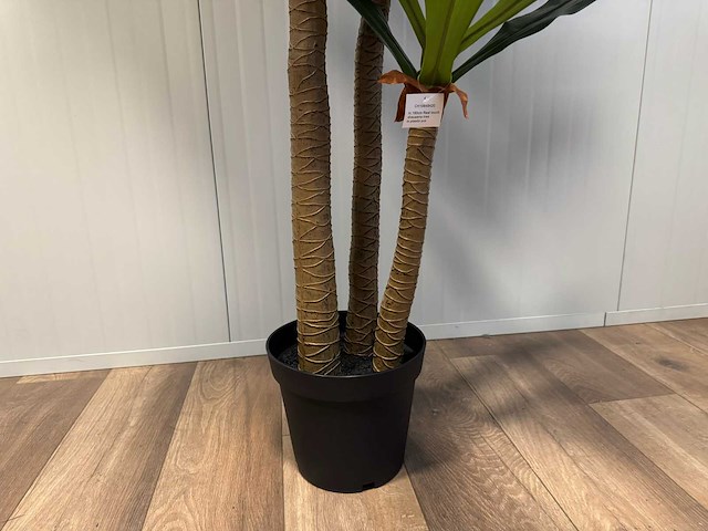 Dracaena tree kunstplant (190cm hoog) - afbeelding 1 van  1