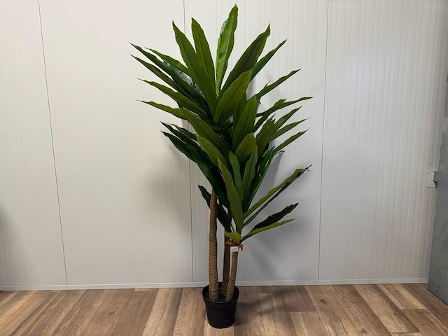 Dracaena tree kunstplant (190cm hoog) - afbeelding 3 van  5