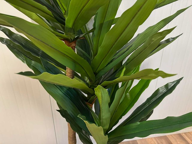 Dracaena tree kunstplant (190cm hoog) - afbeelding 9 van  10
