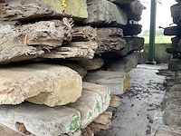 Dragline schot (10x) - afbeelding 4 van  8