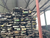 Dragline schot (10x) - afbeelding 7 van  8