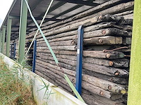 Dragline schot (10x) - afbeelding 8 van  8