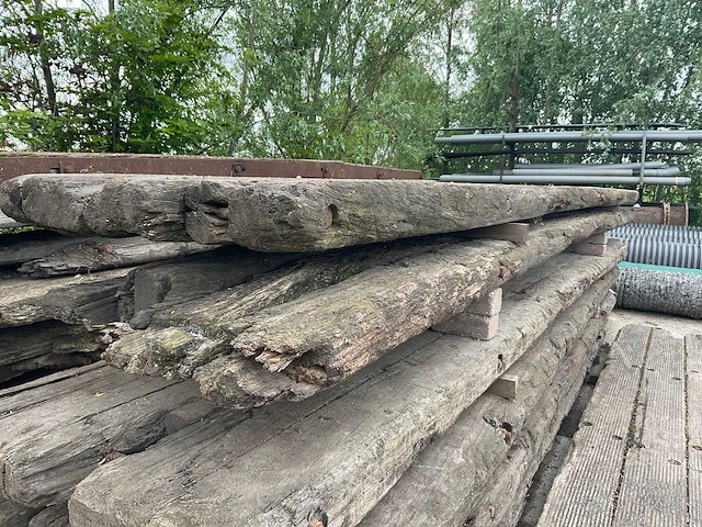 Dragline schot (2x) - afbeelding 1 van  1