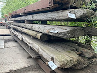 Dragline schot (2x) - afbeelding 1 van  2