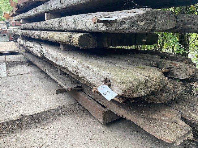 Dragline schot (2x) - afbeelding 1 van  2