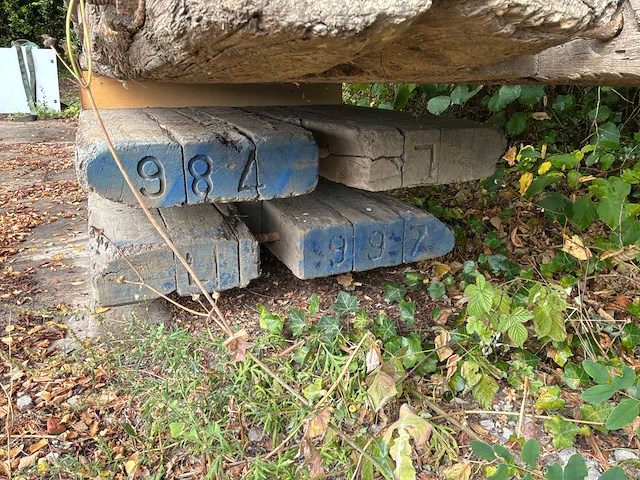 Dragline schot (4x) - afbeelding 4 van  4