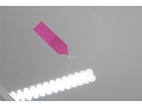 Dreame d9 max robotstofzuiger en dweil ldsnavigatie wit - afbeelding 5 van  5