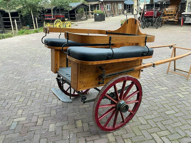 Dresseerkar - afbeelding 7 van  11