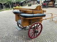 Dresseerkar - afbeelding 7 van  11