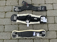 Dressuursingels paarden (3x) - afbeelding 1 van  7