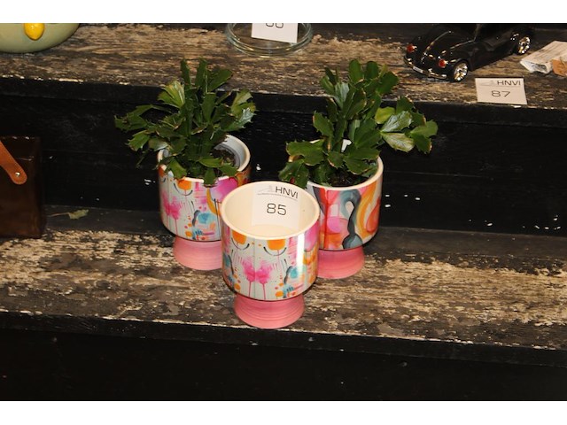Drie decoratieve potten waarvan twee met cactus hoogte 17 cm. - afbeelding 1 van  2