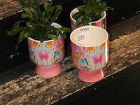 Drie decoratieve potten waarvan twee met cactus hoogte 17 cm. - afbeelding 2 van  2