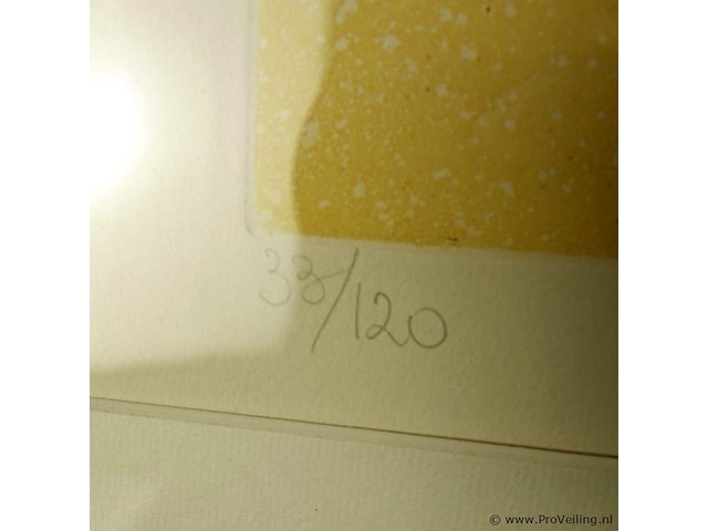 Druk 33/120 van françoise deberdt - afbeelding 4 van  5