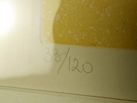 Druk 33/120 van françoise deberdt - afbeelding 4 van  5