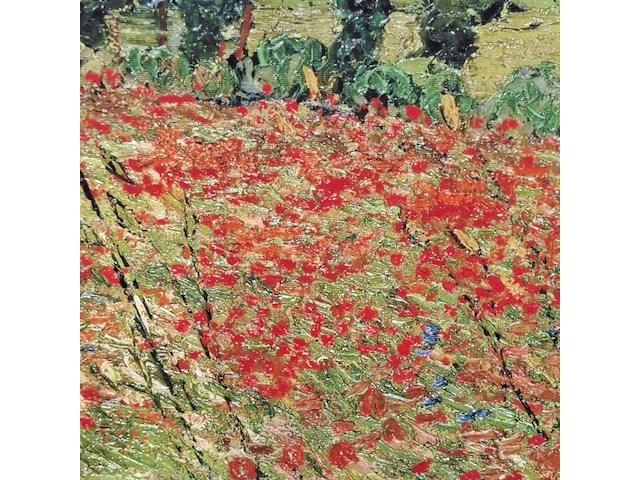 Druk op canvas, reproductie van vincent van gogh, papaverveld - afbeelding 4 van  7