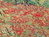 Druk op canvas, reproductie van vincent van gogh, papaverveld - afbeelding 4 van  7