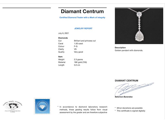 Druppelvormige hanger met briljant en princess geslepen diamanten - afbeelding 3 van  7