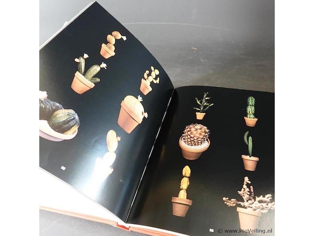 Du mont's phantasievoller ratgeber fur vergnugte koche - afbeelding 4 van  5