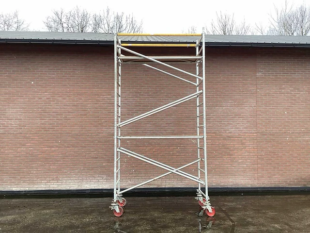 Duarib roulax 8/12 rolsteiger - afbeelding 1 van  3