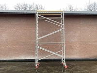 Duarib roulax 8/12 rolsteiger