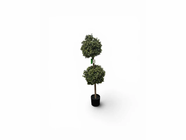 Dubbel bol buxus (4x) - afbeelding 2 van  7