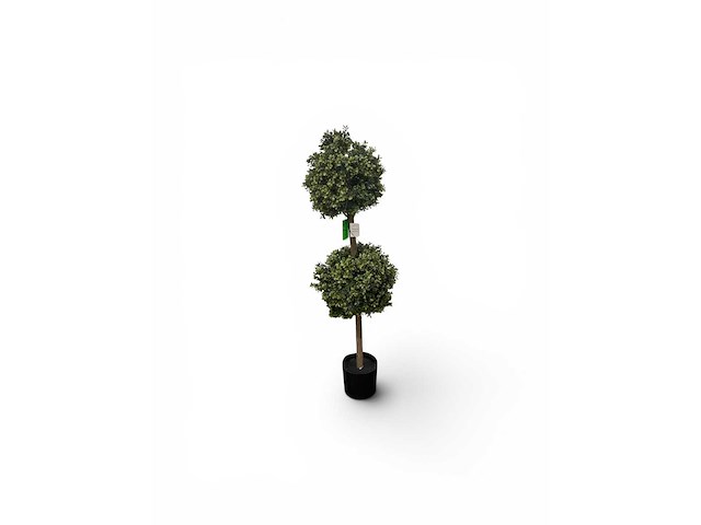 Dubbel bol buxus(4x) - afbeelding 2 van  7