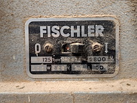 Dubbele bankslijpmachine fischler, d125 - afbeelding 6 van  6