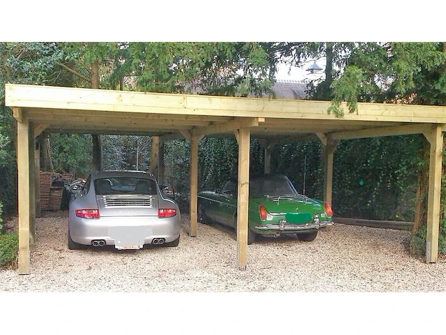 Dubbele carport 1000x600x270 cm, vrijstaand - afbeelding 2 van  3
