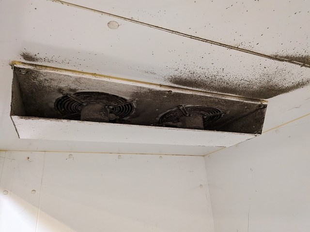 Dubbele koelcel met roldeur viessmann, ct 3000 lidl, ct 2000 113, bouwjaar 2011 - afbeelding 22 van  24